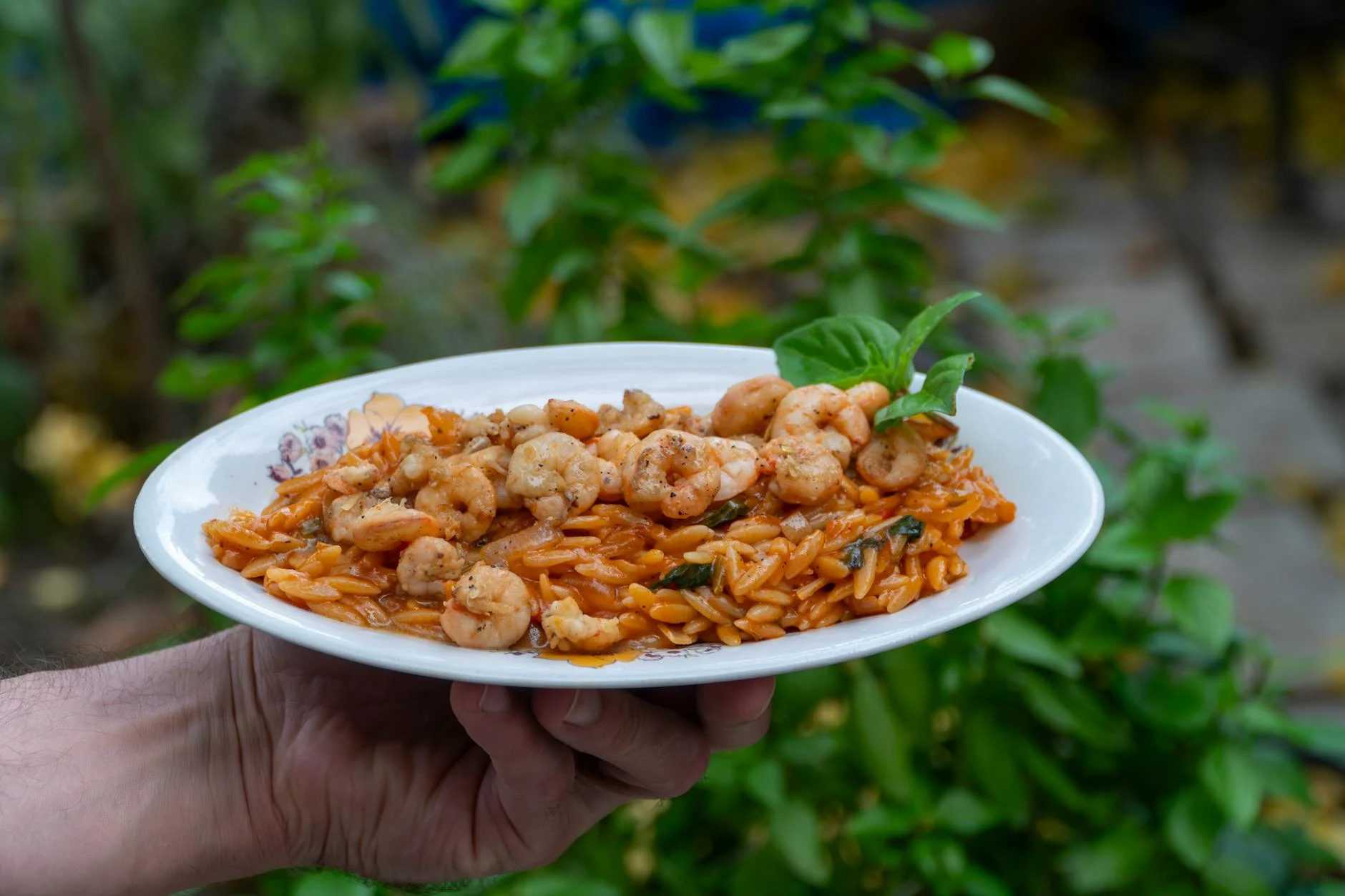 Shrimp (Креветка) — морской деликатес