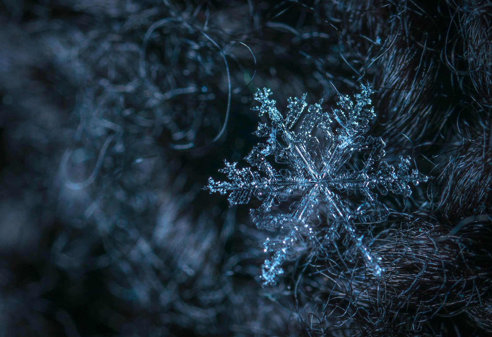 Snowflake (Снежинка) — уникальный кристалл льда