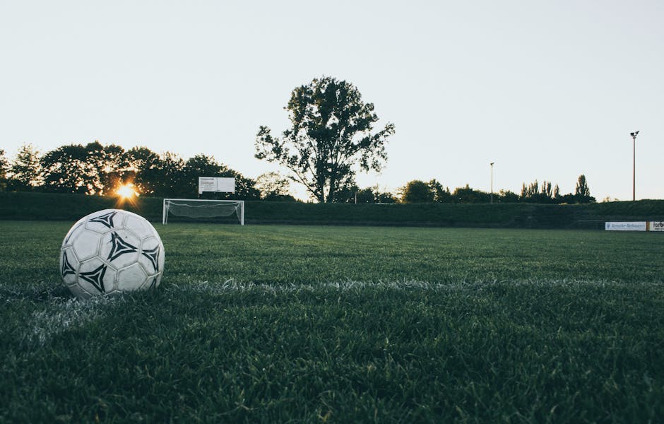 Soccer (Футбол) — командный вид спорта