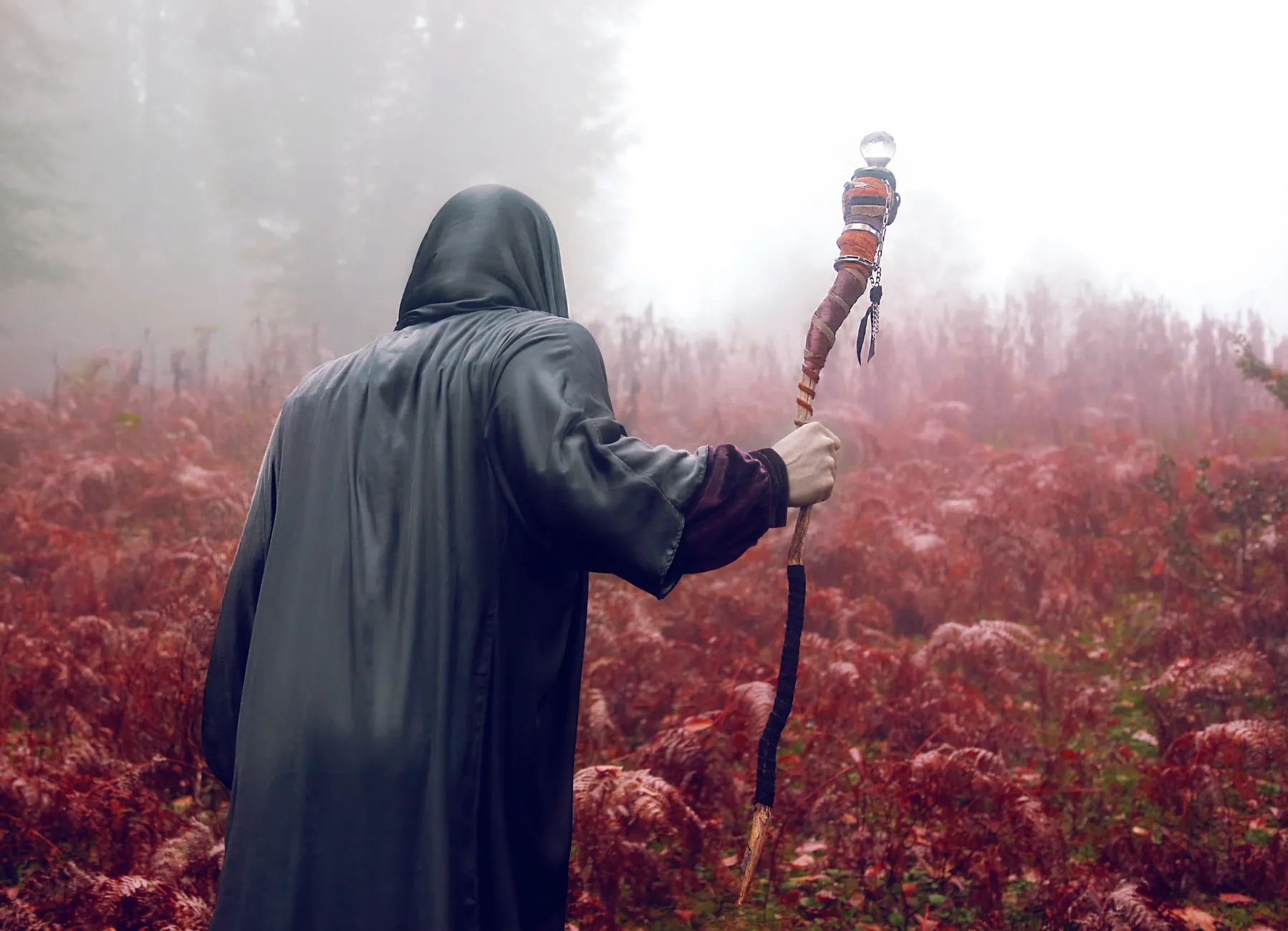 Sorcerer (Колдун) — человек, практикующий магию