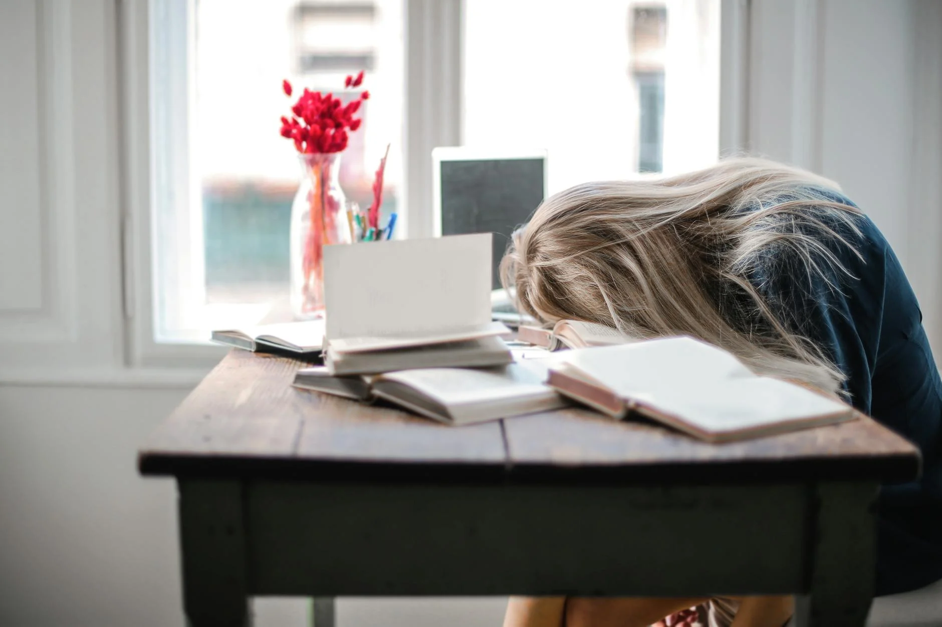 Study (Учиться, кабинет) — процесс получения знаний или комната для работы