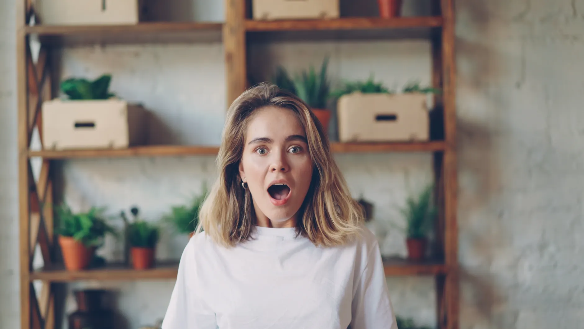 Surprise (Сюрприз) — неожиданность, удивление