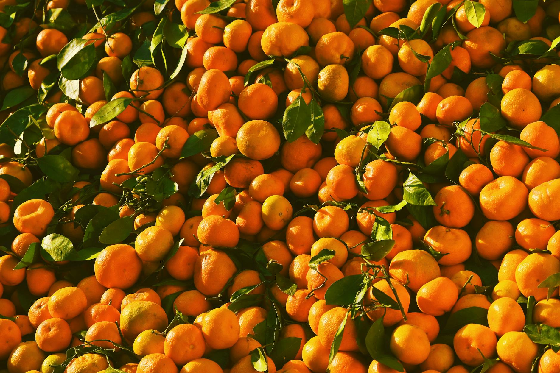Tangerine