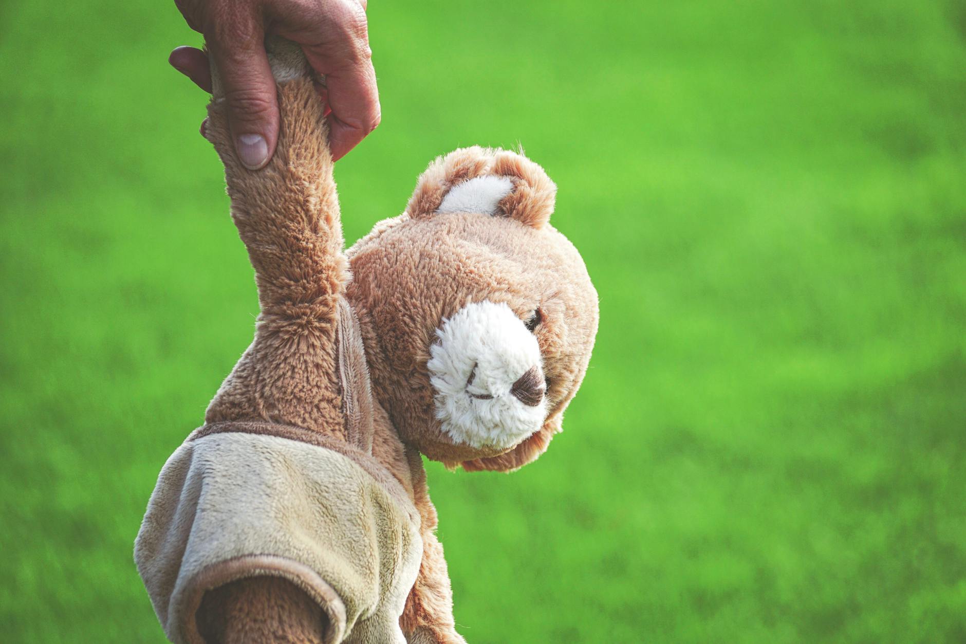 Teddy