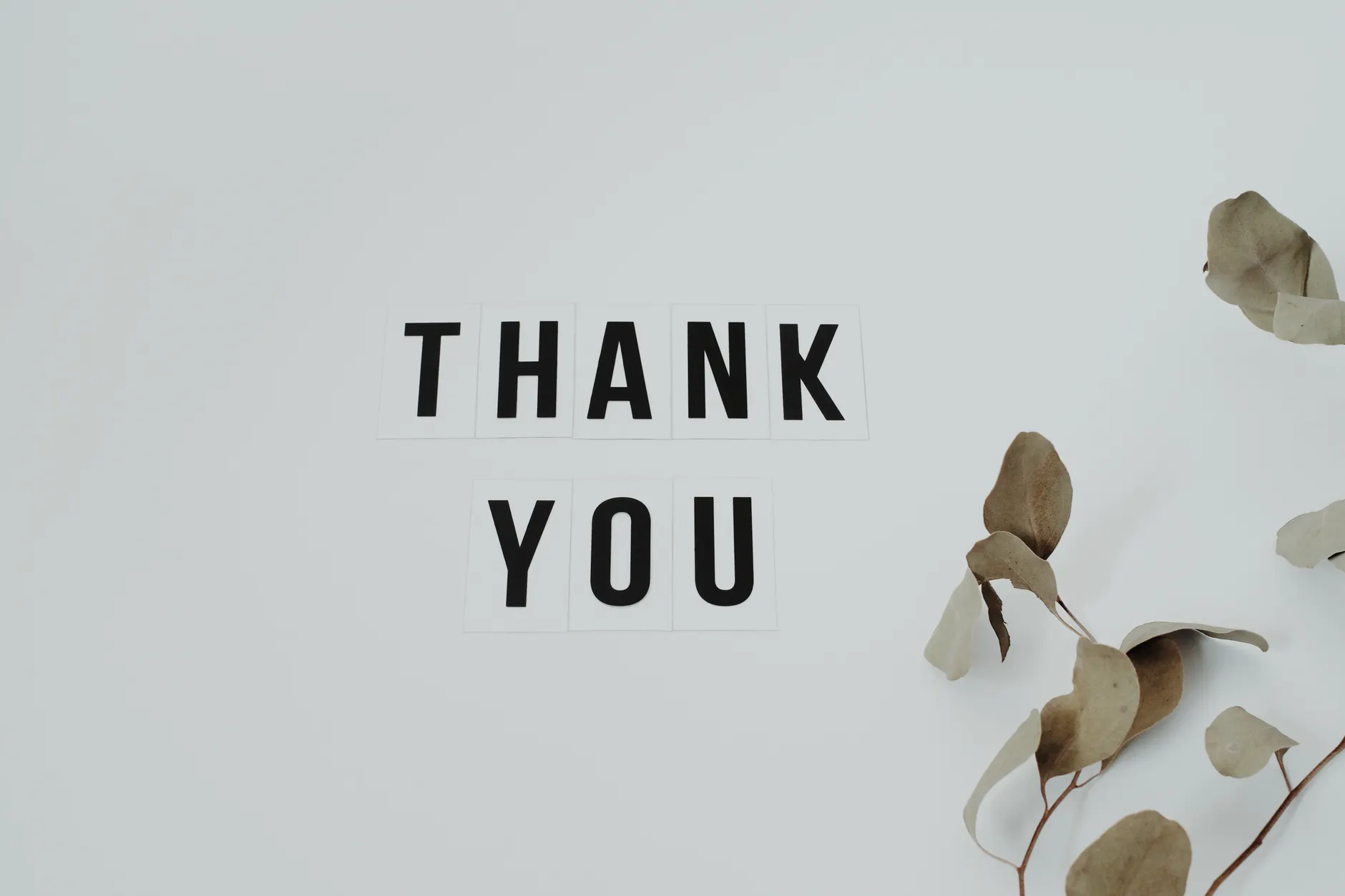 Thank you! — английская фраза с переводом и произношением