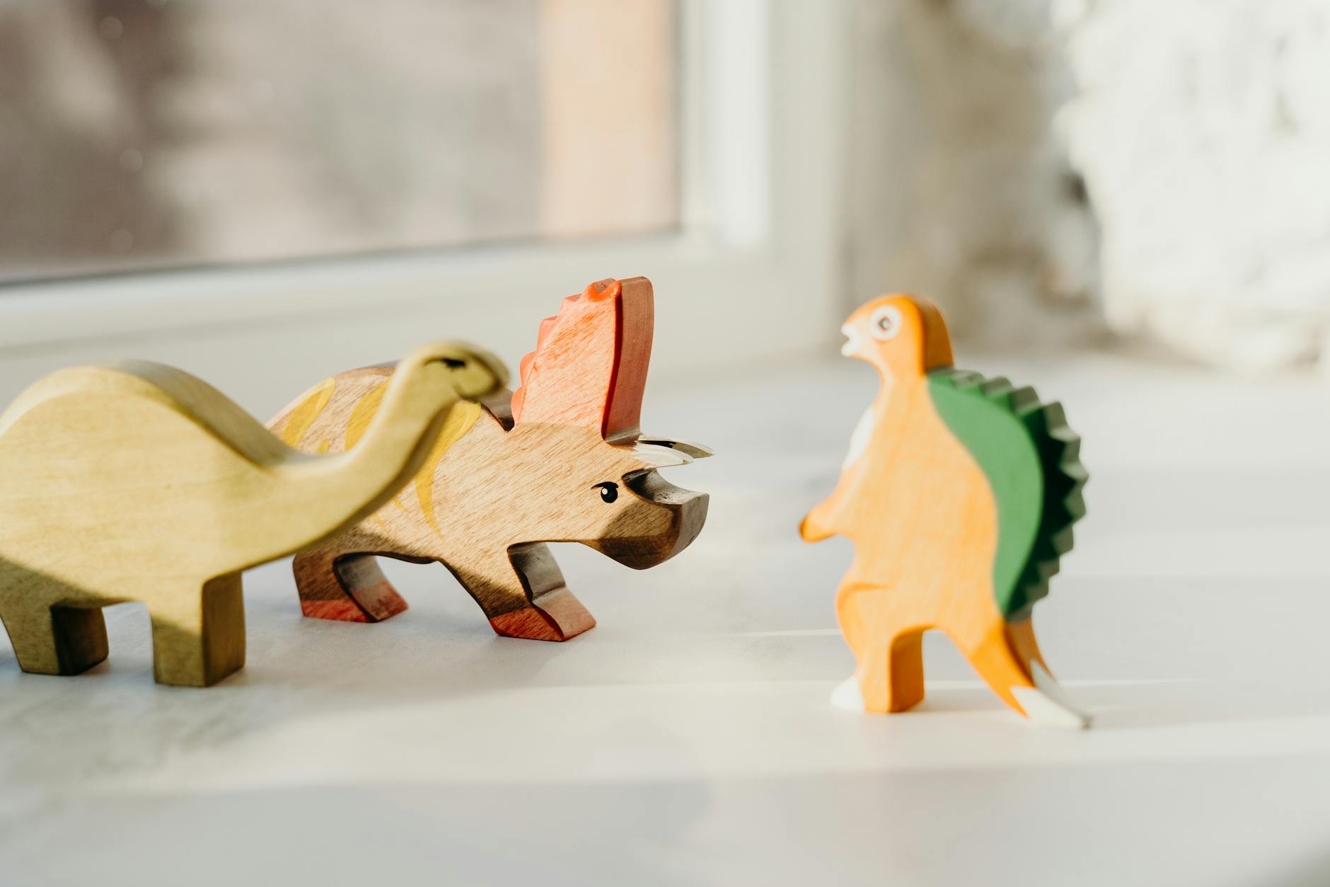 Toy