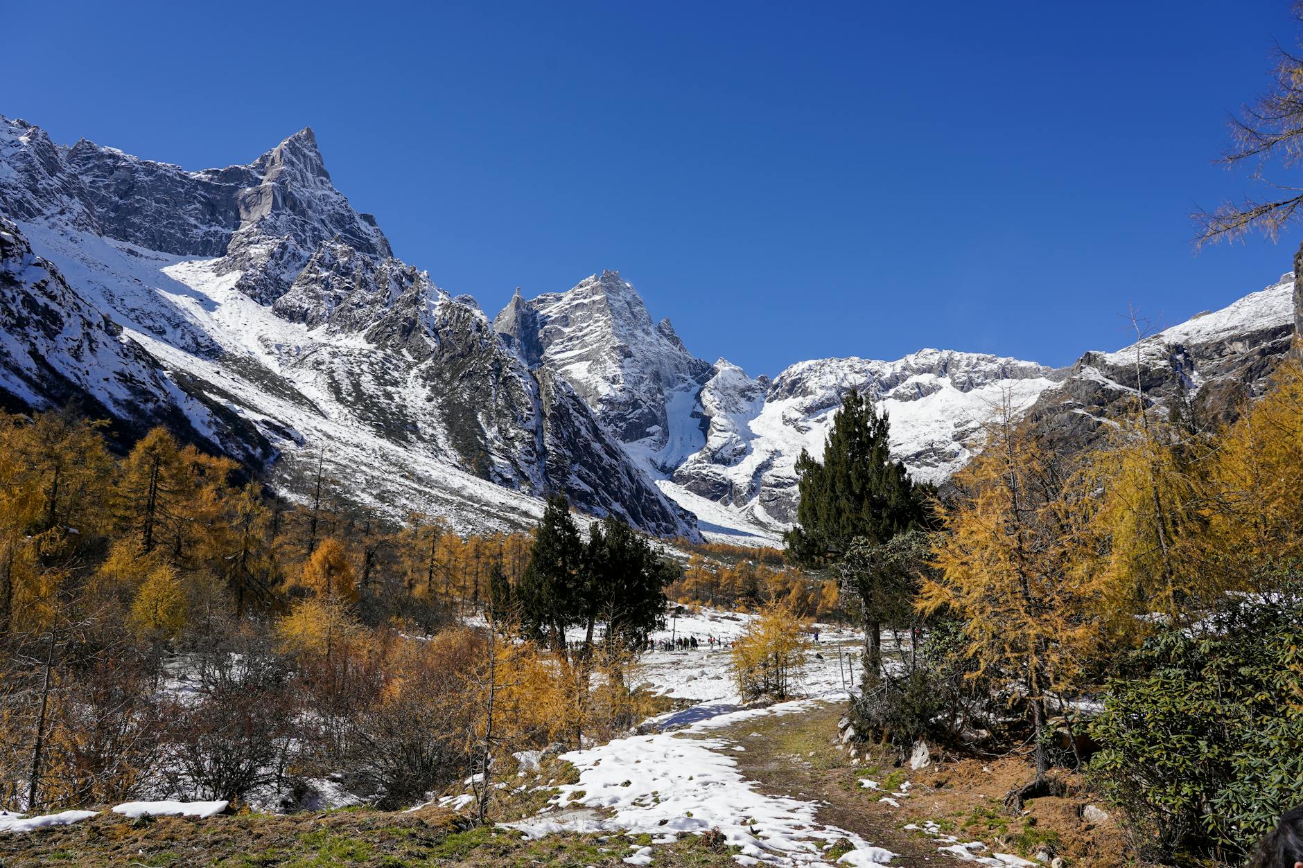 Vampire