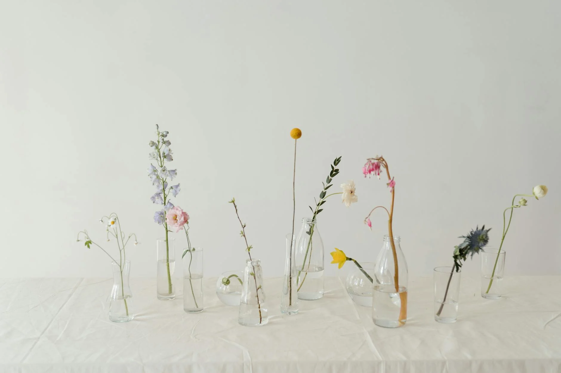Vase (Ваза) — предмет для цветов и декора