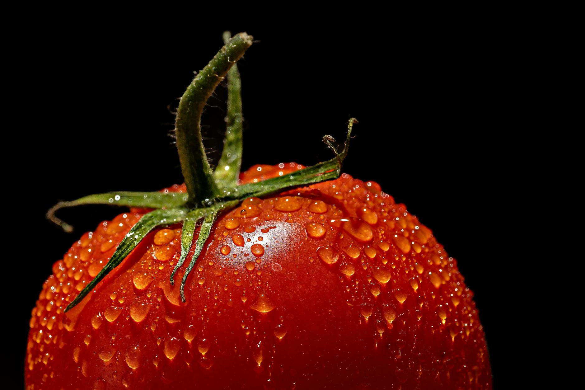 Vegetable (Овощ) — полезная еда из растений