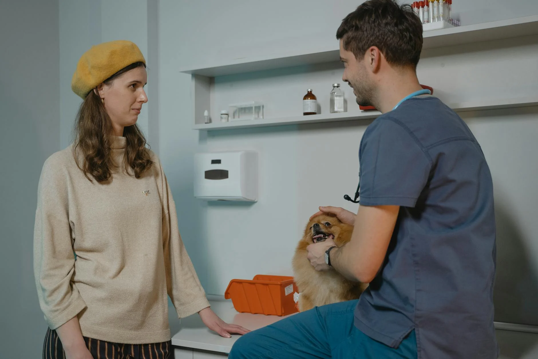 Veterinarian (Ветеринар) — врач, лечащий животных