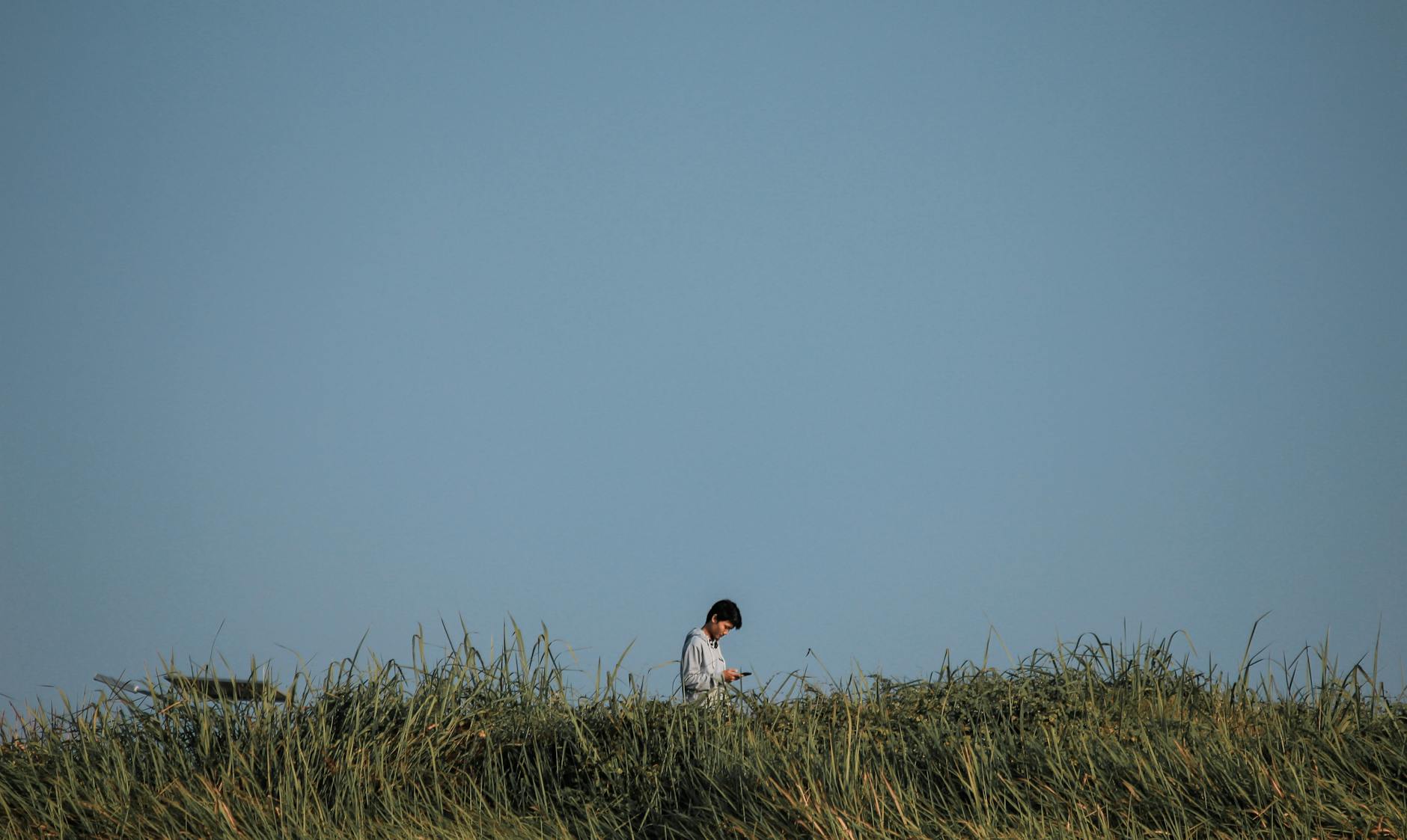 Wander