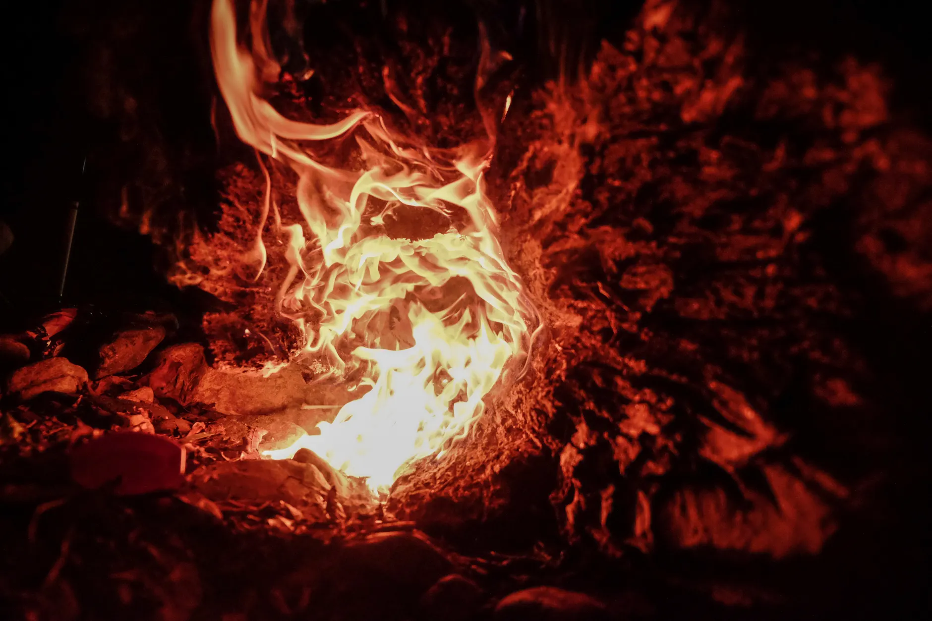 Warmth