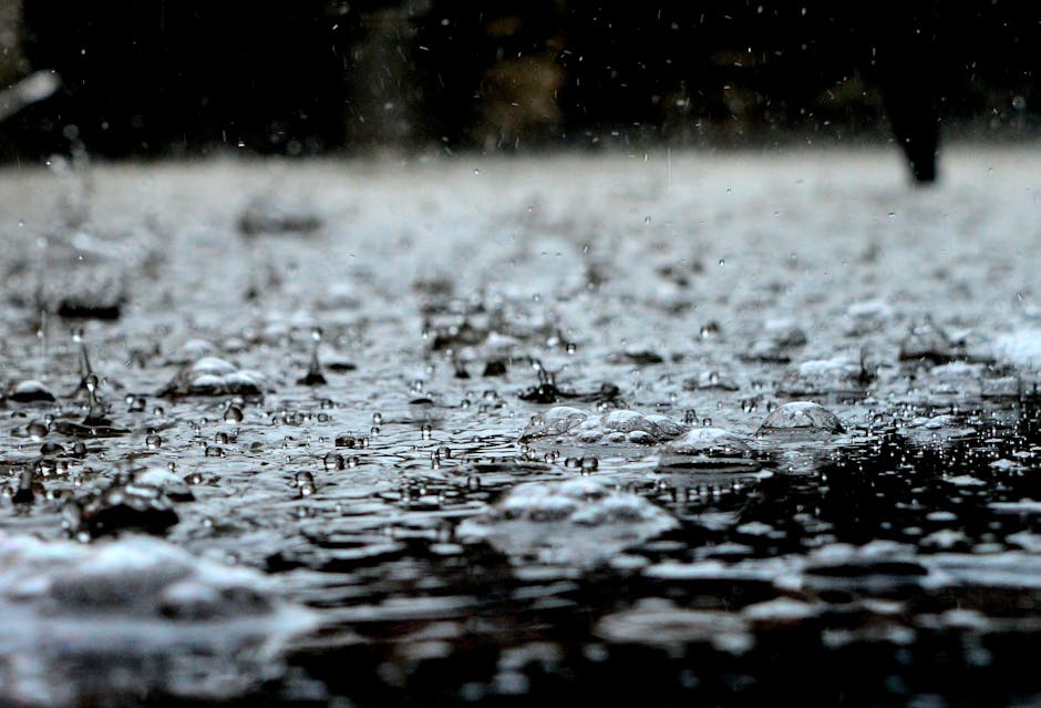 Water