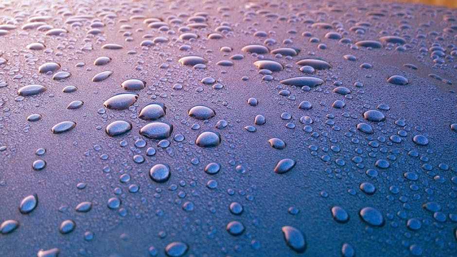 Wet