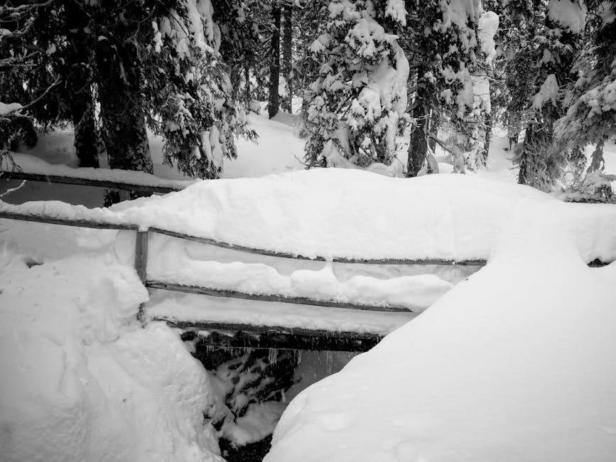 Winter (Зима) — время года со снегом и холодом