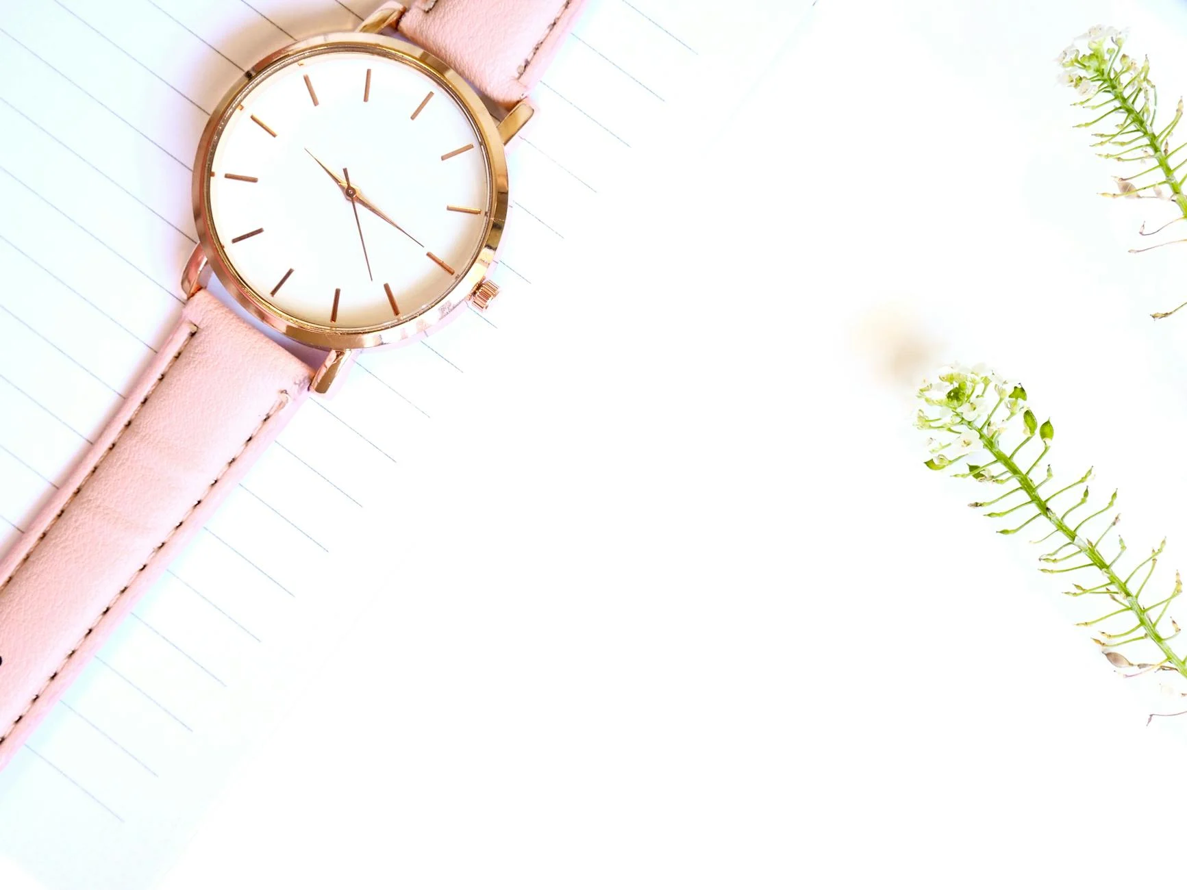 Wristwatch